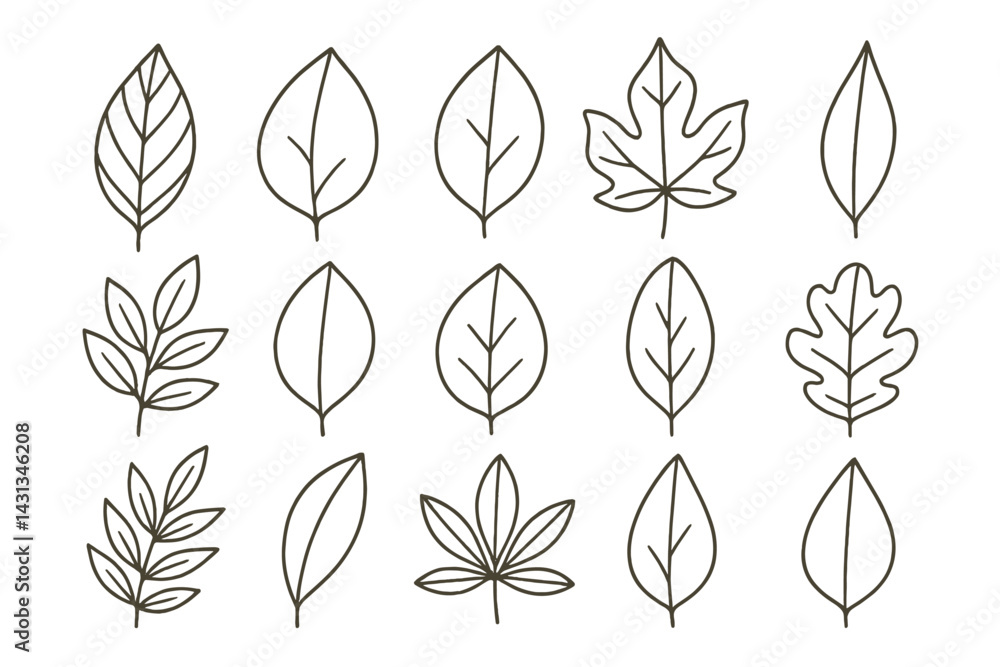 Poster detailed collection of leaf icons suitable for nature-themed projects and designs with clean outline