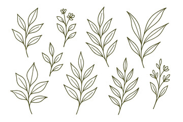 Naklejka premium Collection of hand-drawn leaf and flower icons suitable for various design projects and crafting purposes