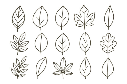 Detailed collection of leaf icons suitable for nature-themed projects and designs with clean outlines