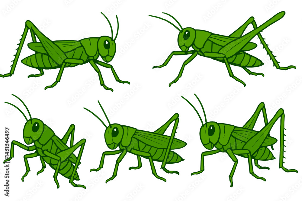 Poster icon set featuring five different green grasshoppers in various poses and angles for nature-themed d