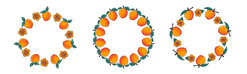 Apricot frame set in cute hand drawn doodle style. Round frame designs with space for text. Hand drawn apricots create a decorative fruit frame, perfect for greeting cards, invitations and food-themed
