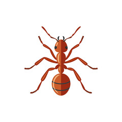 Bright red ant vector illustration with detailed body segments and antennae, ideal for science visuals, insect-themed designs, or educational materials.