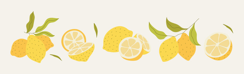 Fresh citrus fruits. Yellow juicy lemons, exotic natural product, sour taste, whole, cut, on twigs, zest and peel, flowers with leaves, lemonade ingredient, vector cartoon flat isolated set