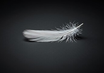 A delicate, pristine white feather gracefully rests, showcasing intricate details against a soft dark background