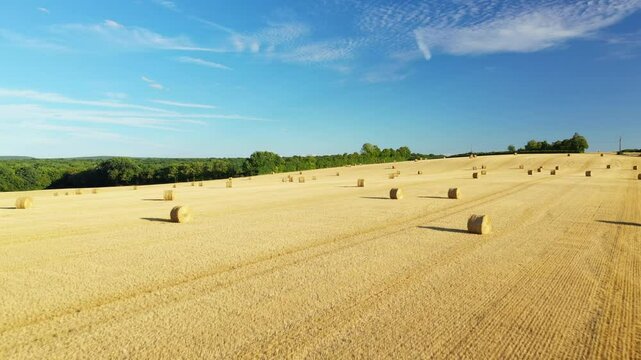 A harvested field strewn with bales of straw in Europe, France, Burgundy, Nievre, in summer, on a stormy day.&nbsp;