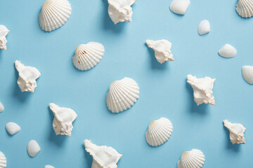 Various types of white shells, scallops and conchs, on a light blue background. Summer sea pattern.