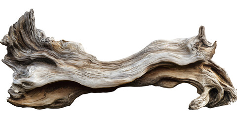 Driftwood texture background nature wood sea beach weathered tree branch isolated on a transparent background.