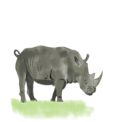 Obraz premium rhino isolated on white background. illustration of a rhino