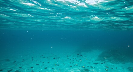 Obraz premium Mesmerizing Underwater Scene Crystal Clear Waters and Vibrant Marine Life