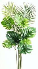 Fototapeta premium Vibrant tropical leaves for interior decor.