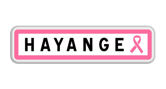 Panneau de sortie de Hayange, Moselle, Grand Est avec Ruban Octobre Rose