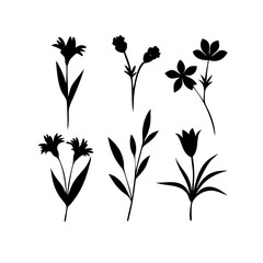 Flower icons set isolated on transparent background. Silhouettes spring flower icon set. Garden plants illustration sign collection. Beautiful symbol.
