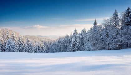 Obraz premium winter landscape with trees and snow advertising banner advertising banner for winter