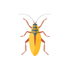 Vector illustration of a colorful insect with long antennae and striped body, ideal for science, entomology, nature themes, or educational graphic design use.