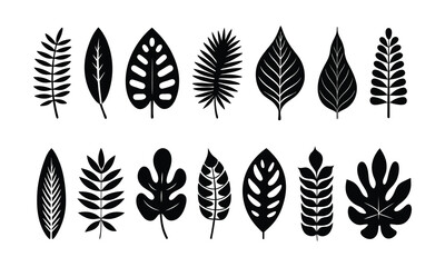 Botanical Stylized Leaf Vector Graphics Pack, Nature Inspired Stylized Leaf Vector Bundle , Ornamental Stylized Leaf Vector Collection for Design