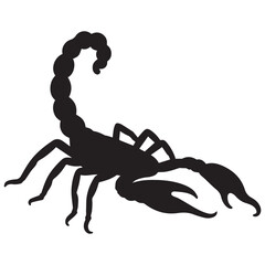 scorpion isolated on white background