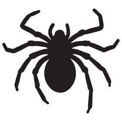 spider on a white background