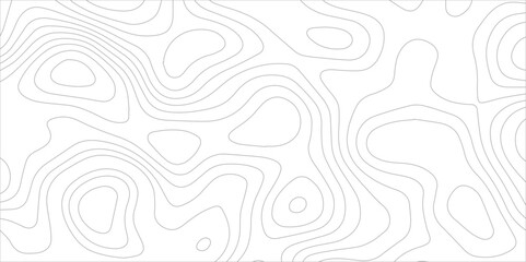 Topographic map grid background. Seamless wavy lines geometric pattern. Topographic canyon map relief texture with curved layers. Modern white paper background.	