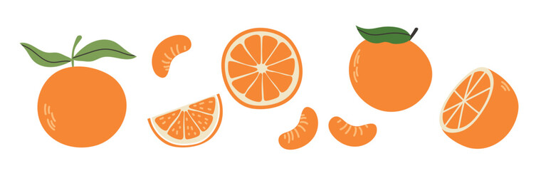 Set of abstract oranges. Simple orange. Organic fruit for juice, smoothie or healthy food. Fruit collection design for interior, poster, banner. Vector illustration on white background.