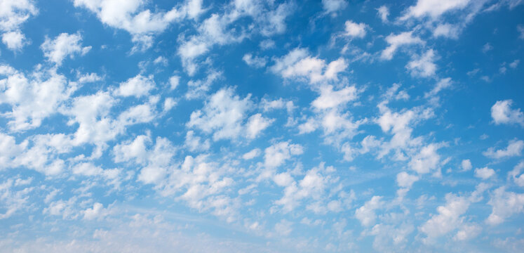 blue sky overcasted with small fluffy cirrus clouds