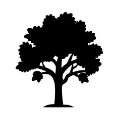 Stunning Tree Silhouette 