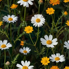 Obraz premium daisies in a garden