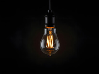 Bright Yellowish-White Incandescent Light Bulb