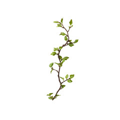 Obraz premium Delicate Spring Branch with Fresh Green Leaves Isolated on Transparent Background