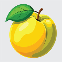 Quince fruit vector art illustration.