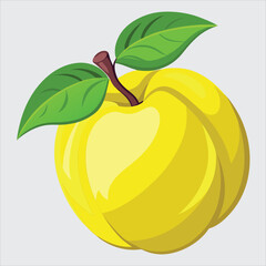 Quince fruit vector art illustration.