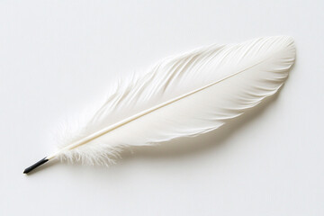 Obraz premium Elegant white feather quill resting on a smooth surface ready for writing or artistic expression