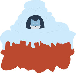 Arctic Fox Snow Den Winter Hideout