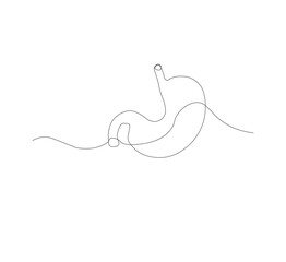 continuous line drawing of stomach, anatomy concept on minimalist white background. vector illustration