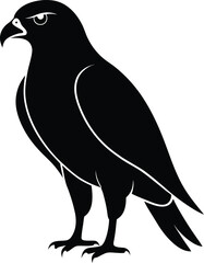 Simple black and white goshawk vector silhouette isolated on a transparent background