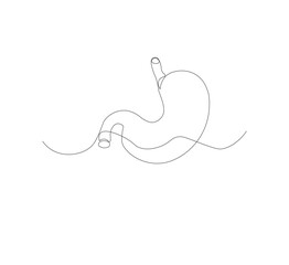 continuous line drawing of stomach, anatomy concept on minimalist white background. vector illustration