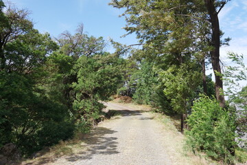 Pflasterstraße Santo Antão Kap Verde