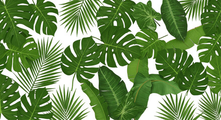Close-up shot reveals vibrant, lush foliage of diverse tropical leaves against a dark background