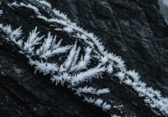 Diagonal Hoar Frost Crystals on Dark Rock