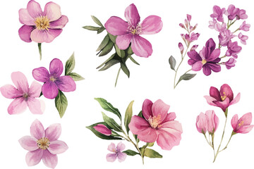 set of pink flowers