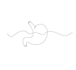 Obraz premium continuous line drawing of stomach, anatomy concept on minimalist white background. vector illustration