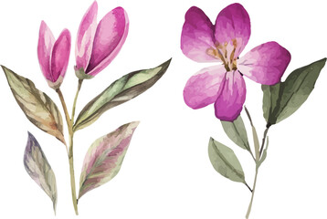 Obraz premium set of pink and green leaves