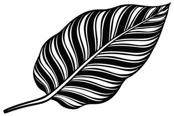 Obraz premium leaf silhouette vector illustration