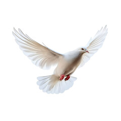 Obraz premium White dove flying on a transparent background, Png