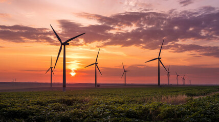 Obraz premium The sun sinks behind the blades of wind turbines