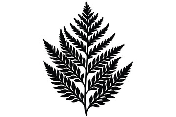 Naklejka premium asparagus fern silhouette vector illustration