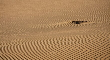 Background of wind-swept sand dunes creates beautiful patterns and texture in a desolate landscape.