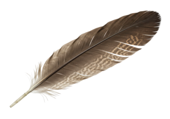 A lone brown feather against the void detailed and softly lit