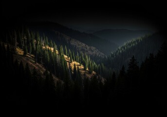 Golden Sunbeam Illuminates Pine Valley Slope