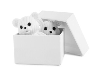 Beautiful toy bears in box isolated on white