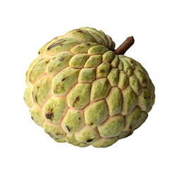 Obraz premium Custard apple isolated on a transparent background